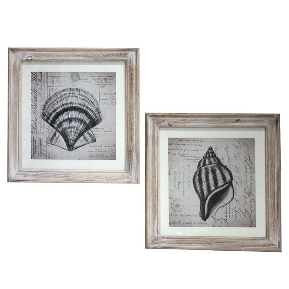 Urban Designs Coastal Collection 2-Piece Sea Shells Square Framed Wall Art